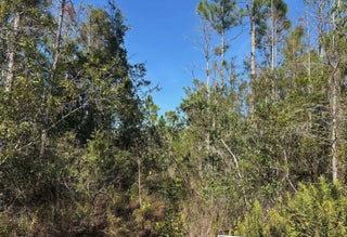 Photo of Listing #F10544259