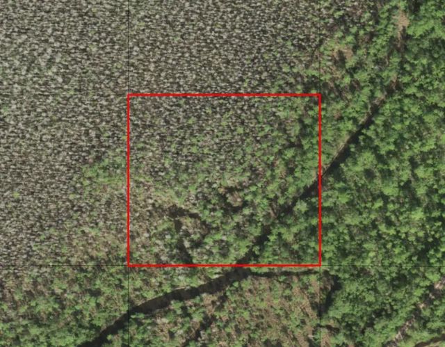 2 of 2 - 0 Holopaw Groves Road, St. Cloud, FL