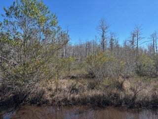 Photo of Listing #F10544515