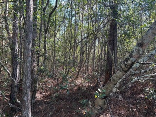 Photo of Listing #F10544509