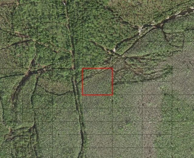 2 of 2 - 0 Holopaw Groves Road, St. Cloud, FL