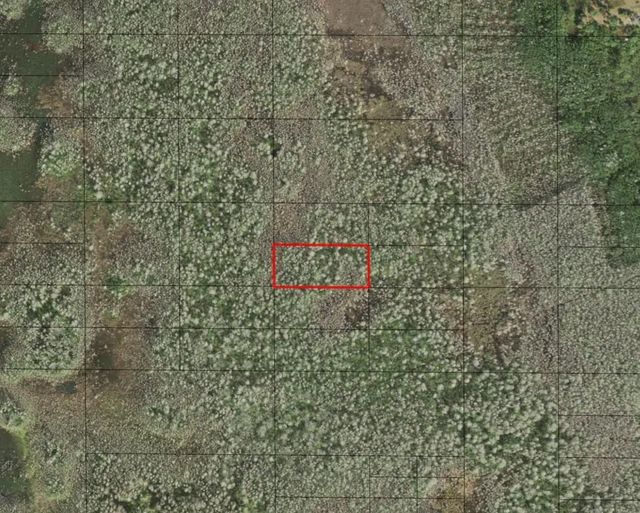 0 Holopaw Groves Road, St. Cloud