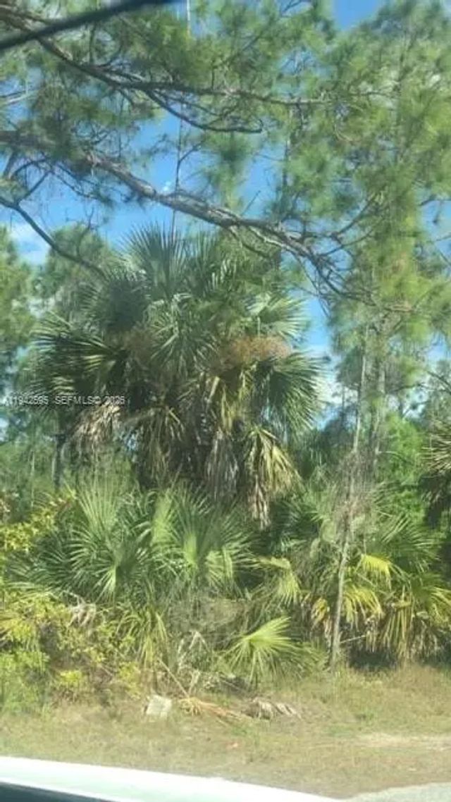 1000 W 11 Street, Lehigh Acres