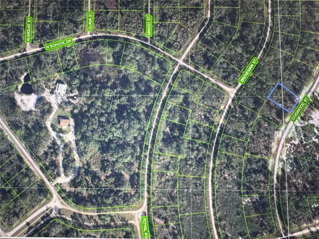 2 of 3 - 1230 Dogwood, Lake Placid, FL