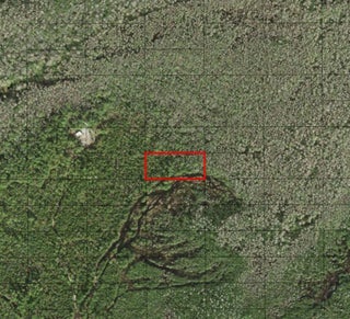 Photo of Listing #F10544947