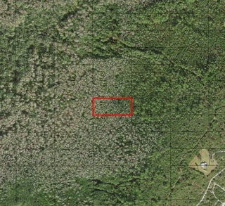 Photo of Listing #F10544958