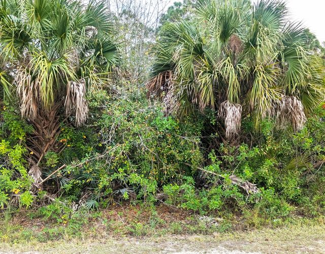 12885 86th Street, Fellsmere