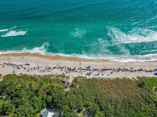 Photo of Listing #R11154669