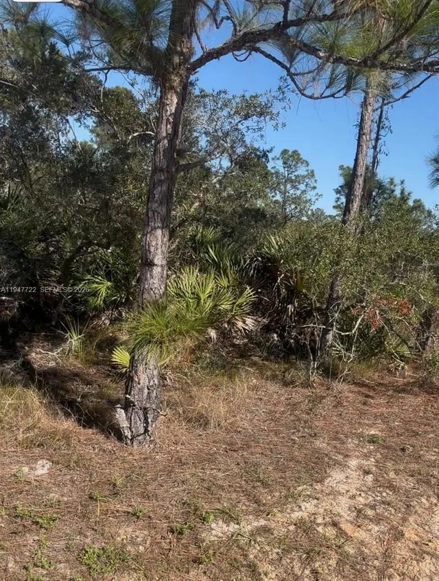 3 of 5 - 1846 Nolana Avenue, Sebring, FL