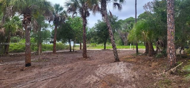 4 of 10 - 315 Ivanhoe Avenue, LaBelle, FL