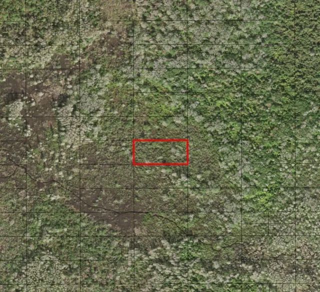 2 of 2 - 0 Holopaw Groves Road, St. Cloud, FL