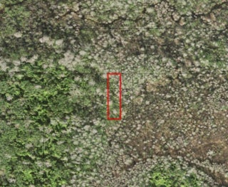 Photo of Listing #F10546537