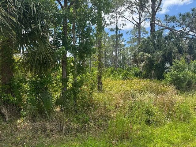 1458 Transcoro Street Se, Palm Bay
