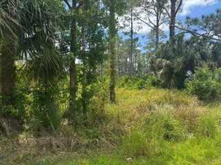 Photo of Listing #R11156100