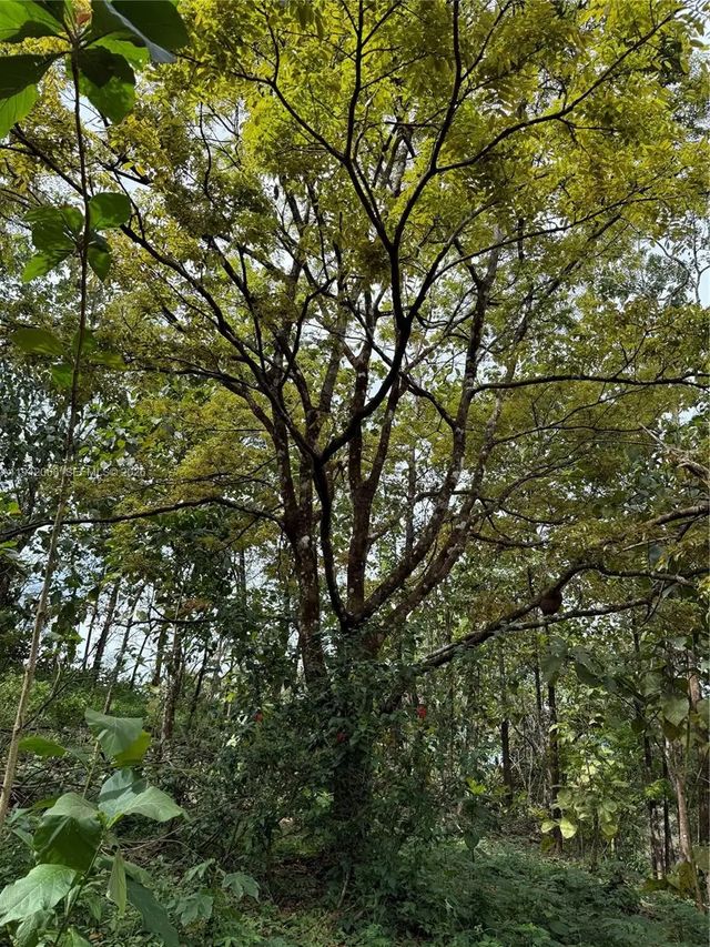 San Ramon, Esparza, 