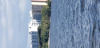 Photo of Listing #R11156628