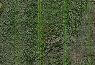 Photo of Listing #F10547963