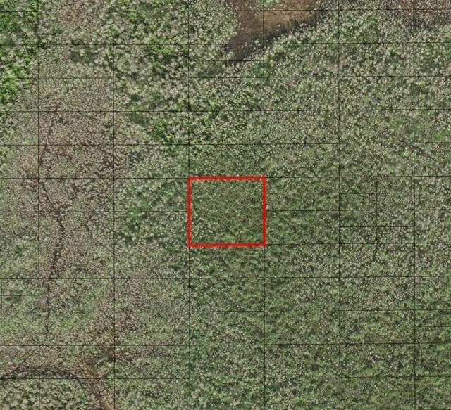 0 Holopaw Groves Road, St. Cloud