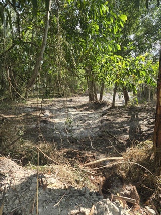 Photo of Listing #R11157130