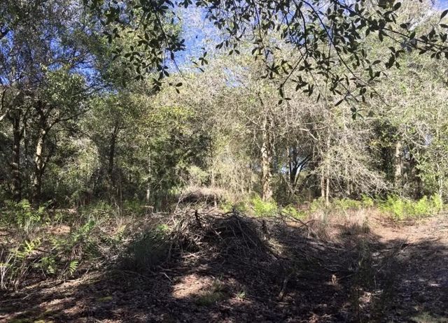 4 of 7 - 17444 Nw 286th Street, Okeechobee, FL