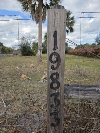 Photo of Listing #R11157671