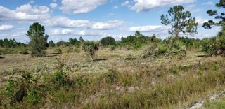 Photo of Listing #R11157678