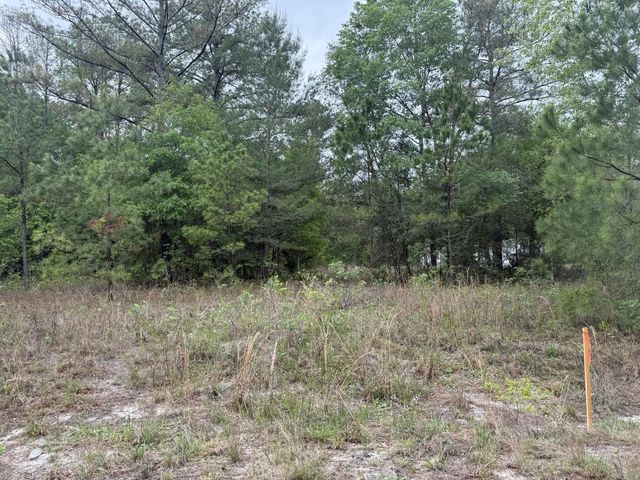 Tbd Maltas Avenue, Interlachen
