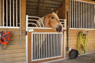 Photo of Listing #R11158134