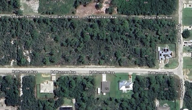215 Roadrunner Avenue, Sebring