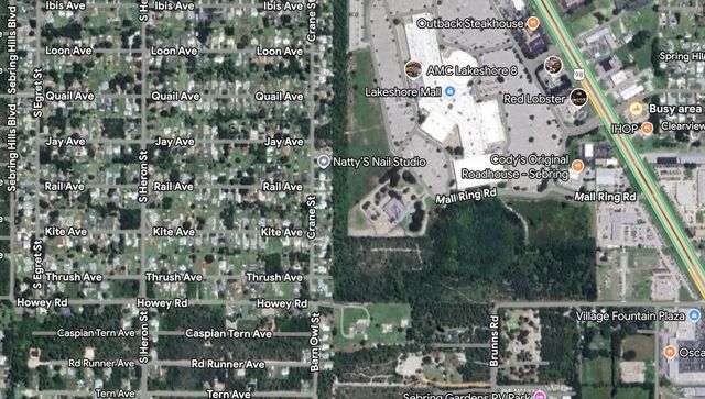 2 of 2 - 215 Roadrunner Avenue, Sebring, FL