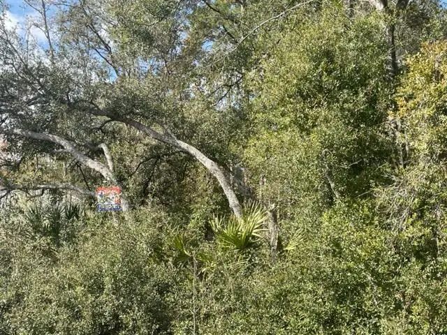 000 Malauka Cir Circle, Ocklawaha