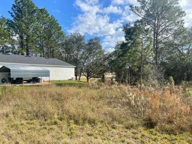 4 of 9 - 000 Malauka Cir Circle, Ocklawaha, FL