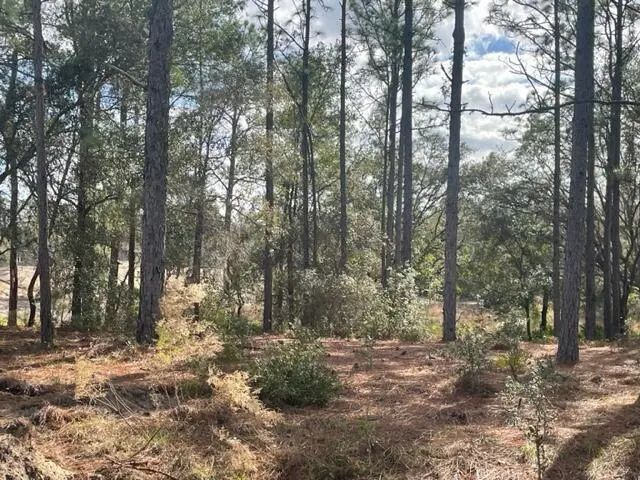 5 of 9 - 000 Malauka Cir Circle, Ocklawaha, FL