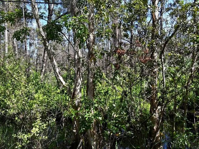 3 of 3 - -- Dyer Road, Fort Pierce, FL