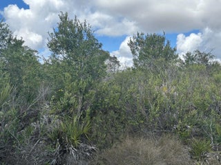 Photo of Listing #F10549383