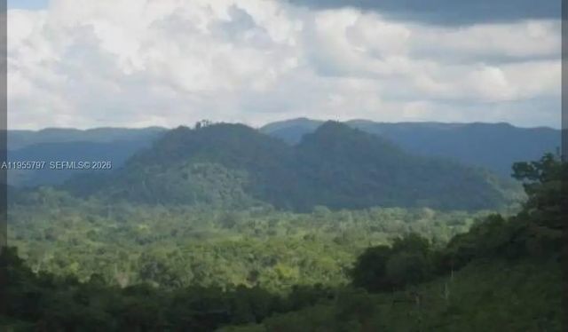 5 of 8 - 00 Ethel Town, Westmoreland, Jamaica, , 