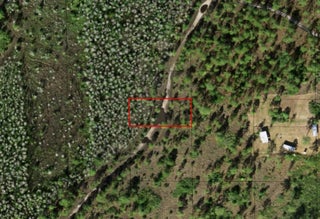 Photo of Listing #F10549865