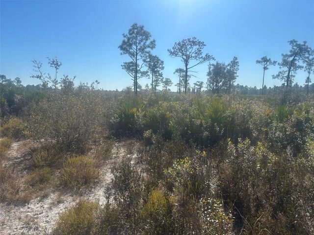 2 of 4 - 0 Xeriscape Nursery Road, Frostproof, FL