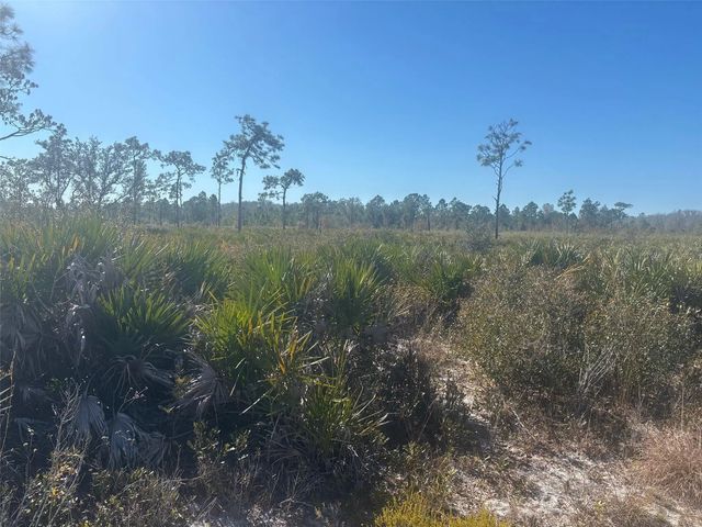 3 of 4 - 0 Xeriscape Nursery Road, Frostproof, FL