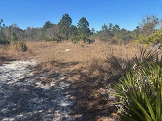 Photo of Listing #F10550279