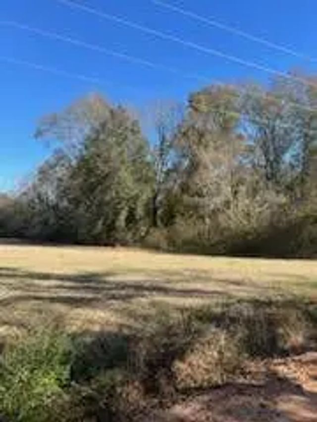 5 of 13 - 5123 Elmore Road, Marianna, FL