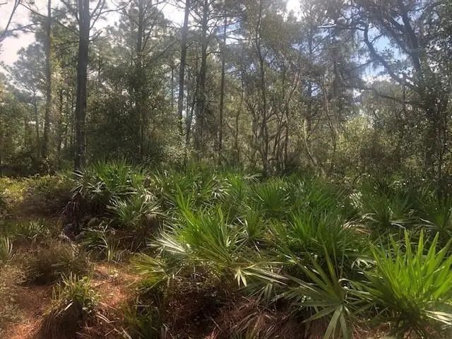 2 of 3 - 0 Old Grade Road, , FL