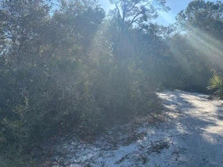 Photo of Listing #F10550493