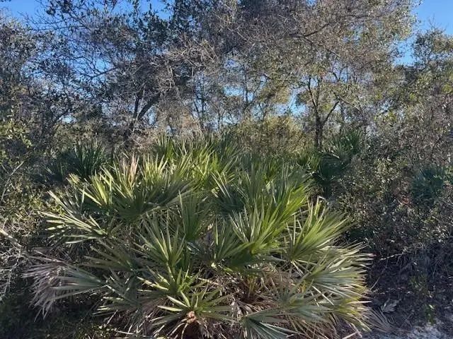 3 of 4 - 2280 93rd Court, Vero Beach, FL
