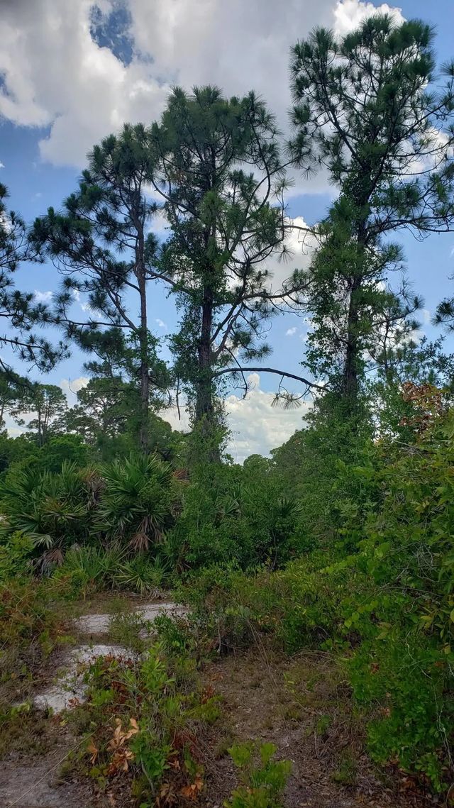 4 of 8 - 932 Island Parkway Ne, Lake Placid, FL