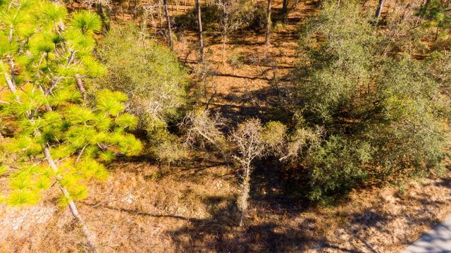 2 of 10 - 0000 Sw Commodore Road, Dunnellon, FL