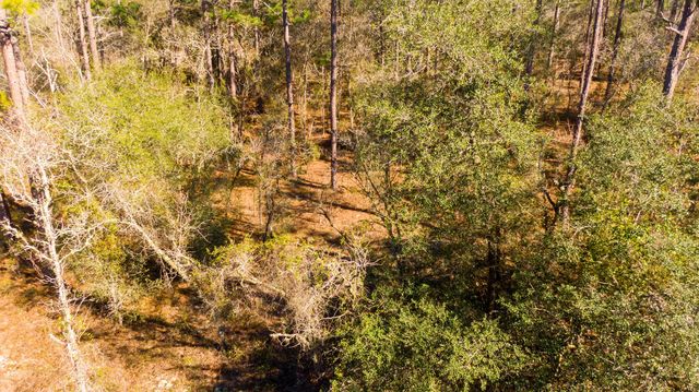 3 of 10 - 0000 Sw Commodore Road, Dunnellon, FL