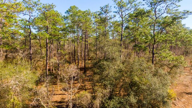 4 of 10 - 0000 Sw Commodore Road, Dunnellon, FL