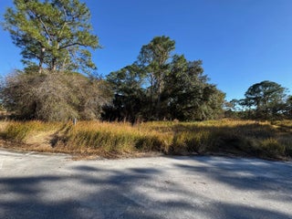 Photo of Listing #R11161976