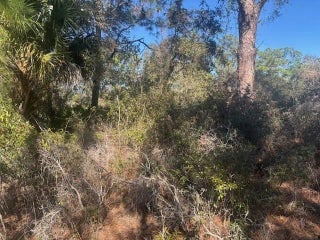 Photo of Listing #F10551362